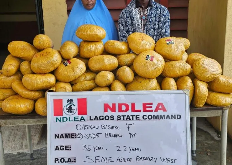 NDLEA Seizes 25 Million Opioid Pills and Arrests Drug Offenders in Lagos