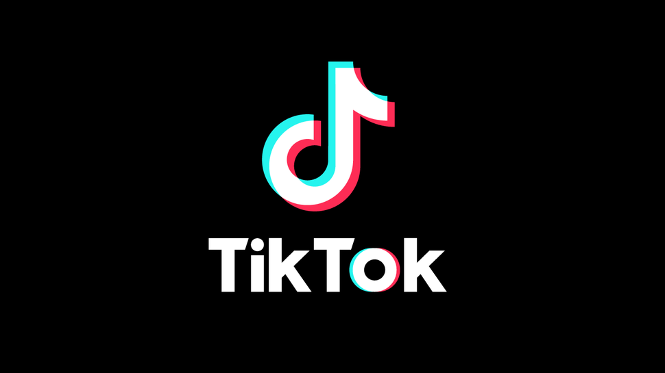 TikTok Faces Lawsuits From 14 States Over Harm to Children’s Mental Health