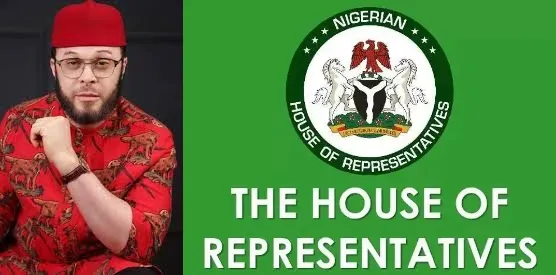 Rep. Ikwechegh Assaults Bolt Driver